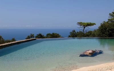 Piscine biodesign